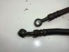 Brake hose front Honda CBR 600 F