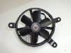 Fan Suzuki TL 1000
