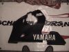 Linker onderkuip Yamaha YZF R6
