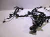 Wire Harness Kawasaki Z 900
