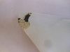 Seitenverkleidung links klein Suzuki GSX R 750