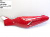 Heck links Yamaha YZF 1000 Thunderace