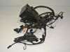 Kabelboom BMW R 1150 R rockster
