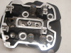 Cylinder head Harley Davidson Softtail