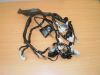 Wire Harness Yamaha YZF 600 Thundercat
