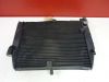 Radiator Yamaha YZF R1