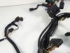 Wire Harness Suzuki GSX F 650