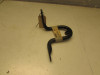Engine Guard Honda Deauville 650 - 700