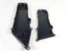 Engine cover Ducati Monster 695
