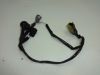Engine parts Honda CBR 1100 XX