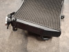 Radiator Yamaha YZF R1