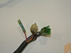 Handlebar switch assy right Kawasaki ZZR 250
