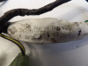 Wire harness front Kawasaki GTR 1000