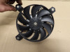 Fan Suzuki DL 1000 V STROM