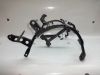 Geweih  Verkleidungshalter Yamaha TDM