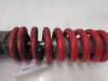 Rear cushion Suzuki TL 1000