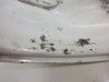 Rear wheel Honda NTV 650