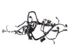 Wire Harness Kawasaki Ninja 650