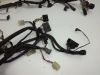 Wire Harness Kawasaki ZR 7