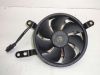 Fan Yamaha YZF R1