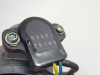 Einspritzanlage Triumph Tiger 1050