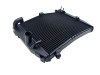Radiateur Aprilia Tuono 660