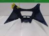 Frontverkleidung kanzel Kawasaki ZZR 250