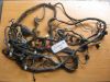 Wire Harness Aprilia Tuono 1000