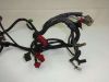 Wire Harness Honda CBR 1000 F