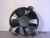 Fan Voxan Roadster