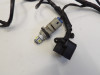 Wire harness front Yamaha FZR 600