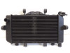 Radiator Yamaha TDM