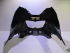 Frontverkleidung kanzel Yamaha TDM