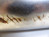 Muffler Kawasaki ZZR 1100