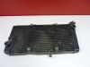 Radiator Honda CBR 1100 XX