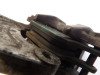 Bremssattel Bremszange hinten Honda TRANSALP