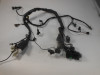 Wire Harness Aprilia Caponord 1000
