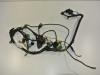 Wire Harness Suzuki XF 650 Freewind