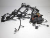 Wire Harness BMW S 1000 R