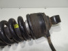 Stossdampfer hinten Triumph Tiger 900