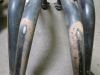 Downpipes Triumph 1200 Daytona