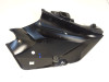 Seiten verkleidung links Triumph Tiger 1050