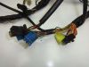 Wire Harness Suzuki RF 600