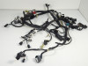 Wire Harness Kawasaki ER 6