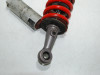Stossdampfer hinten Triumph 595 T Daytona