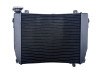 Radiateur Aprilia Tuono 660