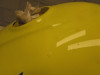 Tank Honda ST 1300 Pan European