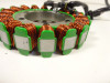 Dynamo Aprilia Tuono 660