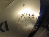 Tank Suzuki GSX R 1300 Hayabusa