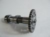 Camshaft KTM RC 390